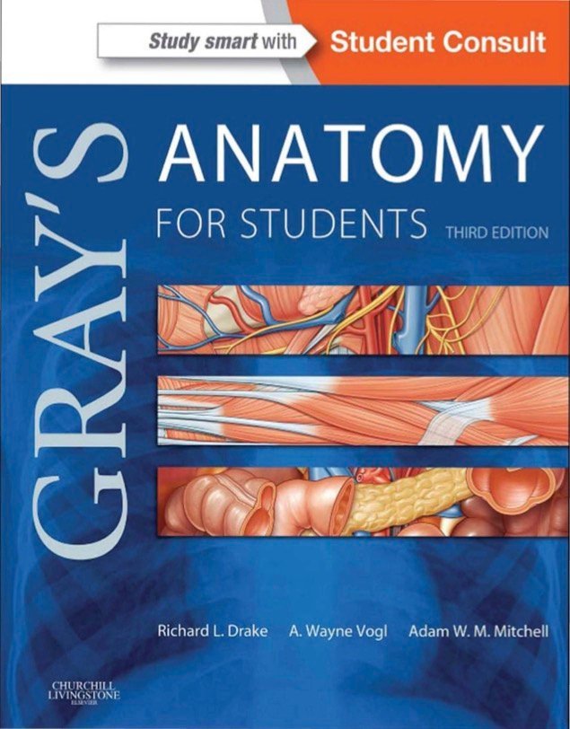 Gray’s Anatomy for Students 3rd edition