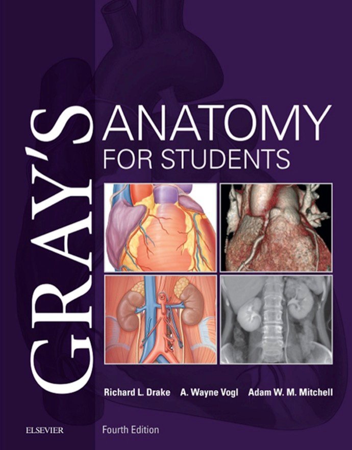 Gray’s Anatomy for Students 4th Edition
