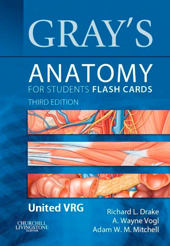 Gray's anatomy for students Flash Cards 3rd Ed