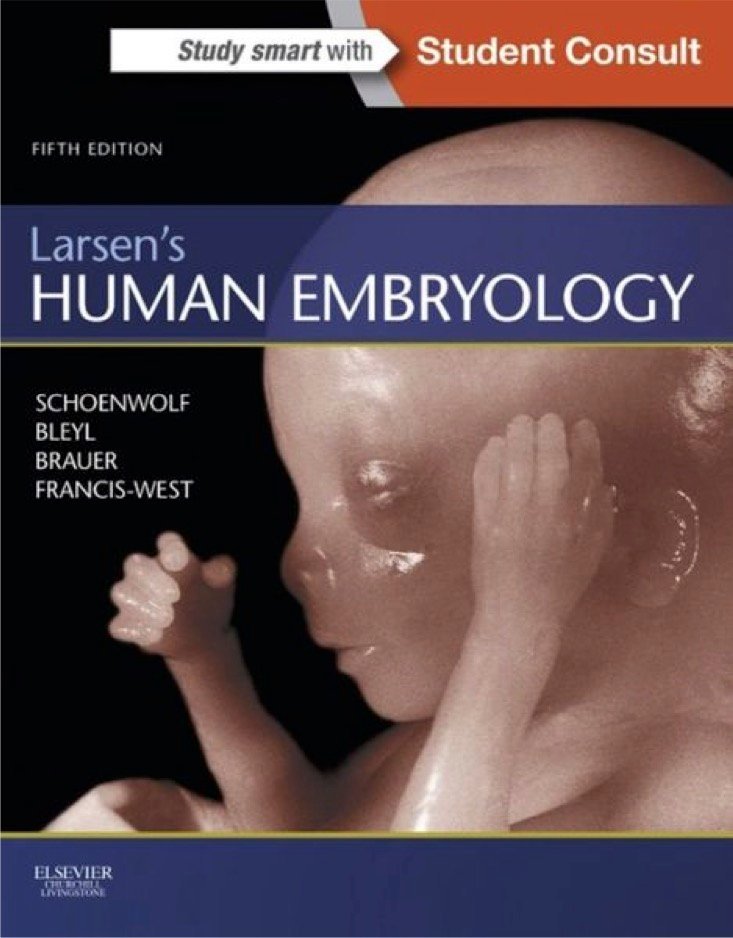 Larsen's Human Embryology 5th edition